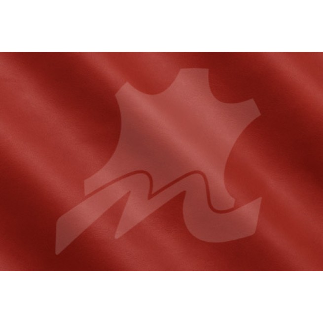 Aligo Group фото